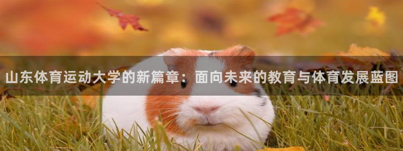 3377体育手机平台