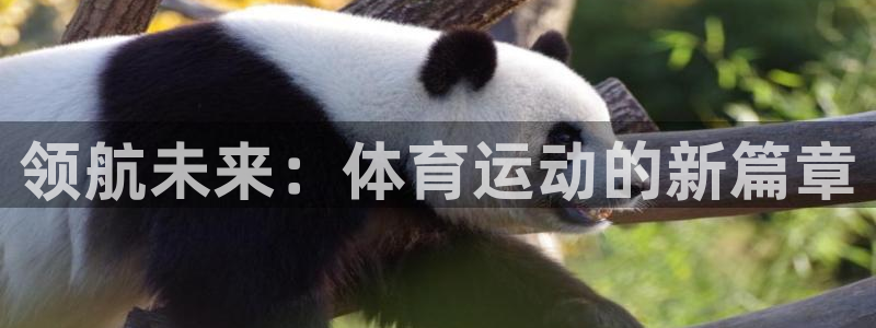3377体育在线：领航未来：体育运动的新篇章