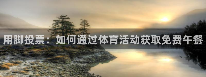 3377体育在线登录官网入口：用脚投票：如何通过体育活动获取免费午餐
