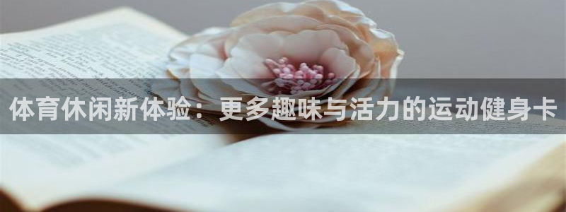 3377体育官网入口网页版