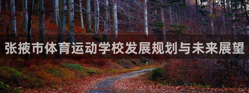 3377体育全网