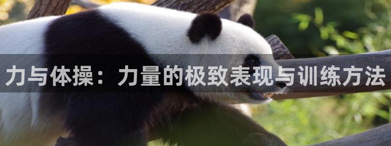 3377体育app登录入口：力与体操：力量的极致表现与训练方法