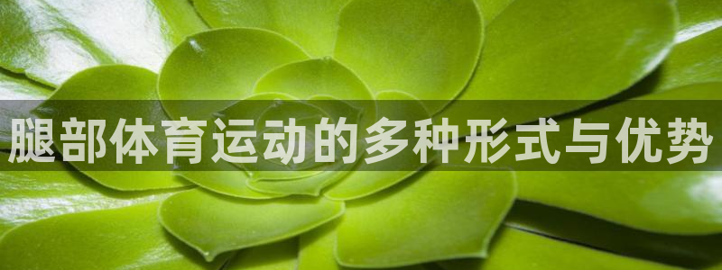 3377体育app官网下载地址：腿部体育运动的多种形式与优势