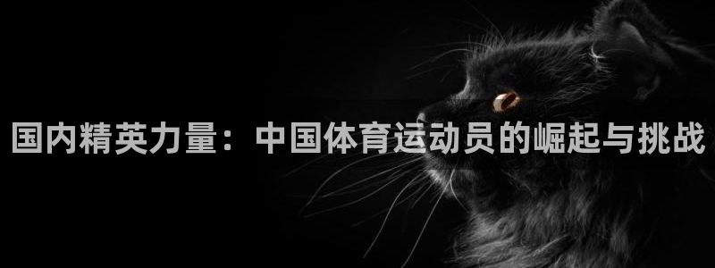 3377体育官网：国内精英力量：中国体育运动员的崛起与挑战