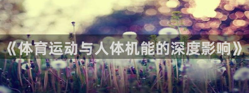 3377体育com