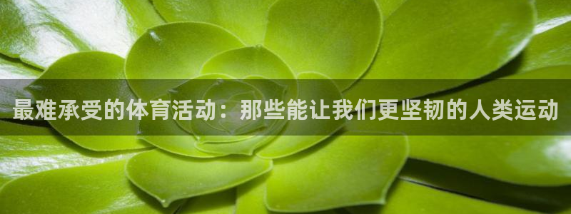 3377体育app官网下载地址：最难承受的体育活动：那些能让我们更坚韧的人类运动