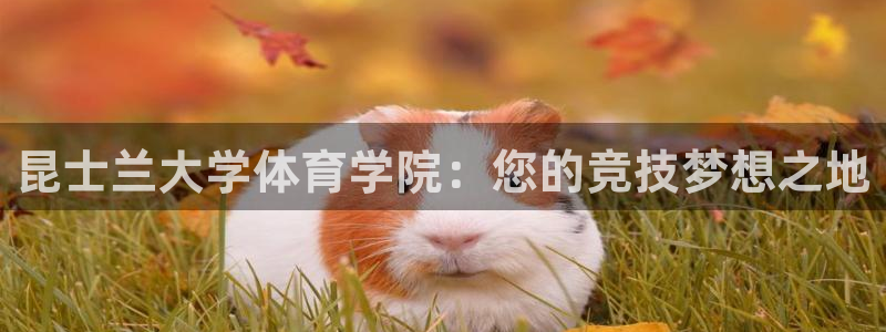 3377体育靠谱吗：昆士兰大学体育学院：您的竞技梦想之地