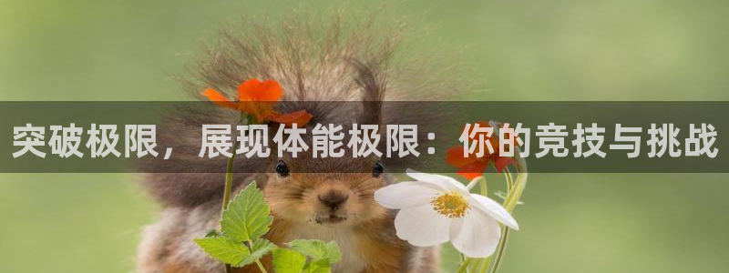 3377体育是正规的吗：突破极限，展现体能极限：你的竞技与挑战